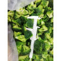 New Crop Frozen Vegetable Broccoli